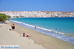 Sitia | Lassithi Crete | Greece  Photo 36 - Photo JustGreece.com