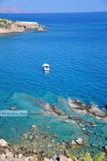 JustGreece.com Achlia | Lassithi Crete | Photo 6 - Foto van JustGreece.com