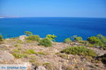 JustGreece.com Agia Fotia | Lassithi Crete | Photo 1 - Foto van JustGreece.com