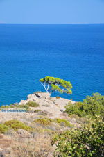 Agia Fotia | Lassithi Crete | Photo 3 - Photo JustGreece.com