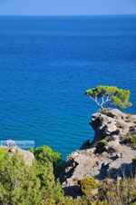 JustGreece.com Agia Fotia | Lassithi Crete | Photo 8 - Foto van JustGreece.com