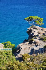 Agia Fotia | Lassithi Crete | Photo 9 - Photo JustGreece.com