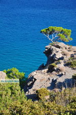 JustGreece.com Agia Fotia | Lassithi Crete | Photo 9 - Foto van JustGreece.com