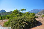Agia Fotia | Lassithi Crete | Photo 18 - Photo JustGreece.com