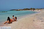 JustGreece.com Elafonisi Crete - Chania Prefecture - Photo 17 - Foto van JustGreece.com
