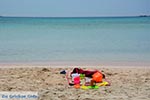 JustGreece.com Elafonisi Crete - Chania Prefecture - Photo 23 - Foto van JustGreece.com