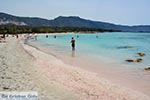 JustGreece.com Elafonisi Crete - Chania Prefecture - Photo 25 - Foto van JustGreece.com