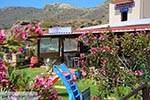 JustGreece.com Falasarna Crete - Chania Prefecture - Photo 31 - Foto van JustGreece.com