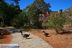 Gouverneto monastery Crete - Chania Prefecture - Photo 19 - Photo JustGreece.com