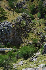 Imbros gorge Crete - Chania Prefecture - Photo 7 - Photo JustGreece.com