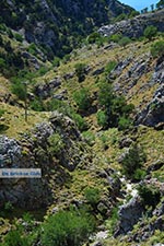 JustGreece.com Imbros gorge Crete - Chania Prefecture - Photo 8 - Foto van JustGreece.com
