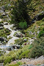 JustGreece.com Imbros gorge Crete - Chania Prefecture - Photo 10 - Foto van JustGreece.com