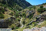 JustGreece.com Imbros gorge Crete - Chania Prefecture - Photo 12 - Foto van JustGreece.com