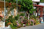Kandanos Crete - Chania Prefecture - Photo 11 - Photo JustGreece.com