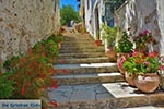Katalagari Crete - Heraklion Prefecture - Photo 15 - Photo JustGreece.com