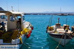 JustGreece.com Agia Galini | Rethymnon Crete | Photo 2 - Foto van JustGreece.com