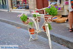 JustGreece.com Rethymno town | Rethymnon Crete | Photo 55 - Foto van JustGreece.com