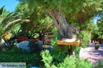 Damnoni | Rethymnon Crete | Photo 38 - Photo JustGreece.com