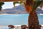 Plakias | Rethymnon Crete | Photo 31 - Photo JustGreece.com