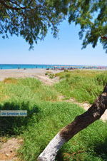 Frangokastello | Chania Crete | Chania Prefecture 44 - Photo JustGreece.com