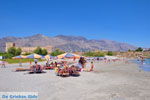 JustGreece.com Frangokastello | Chania Crete | Chania Prefecture 64 - Foto van JustGreece.com