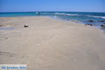 Frangokastello | Chania Crete | Chania Prefecture 98 - Photo JustGreece.com
