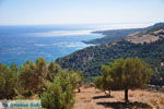 South Crete ter hoogte of Rodakino and Sellia | Retymnon Crete 7 - Photo JustGreece.com