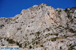 Kotsifos gorge | Rethymnon Crete | Photo 18 - Photo JustGreece.com