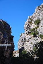 Kotsifos gorge | Rethymnon Crete | Photo 23 - Photo JustGreece.com