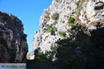 Kotsifos gorge | Rethymnon Crete | Photo 24 - Photo JustGreece.com