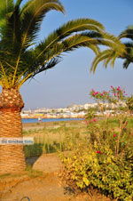 Rethymno town | Rethymnon Crete | Photo 207 - Photo JustGreece.com