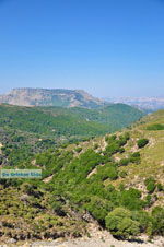 nature Central Rethymnon Crete | Greece  Photo 6 - Photo JustGreece.com