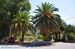 Near monastery Asomatos | Rethymnon Crete | Photo 5 - Photo JustGreece.com