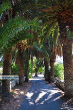 Monastery Asomatos | Rethymnon Crete | Photo 1 - Photo JustGreece.com