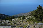 Koudoumas Crete - Heraklion Prefecture - Photo 4 - Photo JustGreece.com
