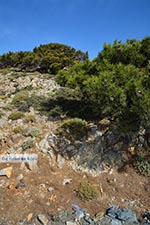 Koudoumas Crete - Heraklion Prefecture - Photo 27 - Photo JustGreece.com