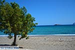 JustGreece.com Pachia Ammos Crete - Lassithi Prefecture - Photo 19 - Foto van JustGreece.com