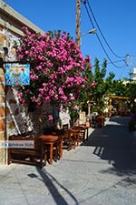 JustGreece.com Paleochora Crete - Chania Prefecture - Photo 51 - Foto van JustGreece.com