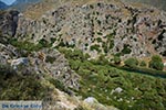 JustGreece.com Preveli beach Crete - Rethymno Prefecture - Photo 17 - Foto van JustGreece.com