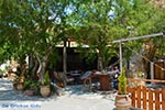 Triopetra Crete - Rethymno Prefecture - Photo 11 - Photo JustGreece.com
