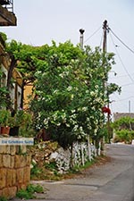 JustGreece.com Varipetro Crete - Chania Prefecture - Photo 15 - Foto van JustGreece.com