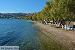 Alinda - Island of Leros - Dodecanese islands Photo 20 - Photo JustGreece.com