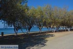 Gourna - Island of Leros - Dodecanese islands Photo 7 - Photo JustGreece.com