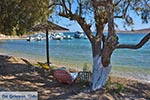 Blefoutis beach Partheni - Island of Leros - Dodecanese islands Photo 22 - Photo JustGreece.com