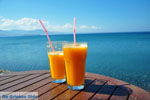 Molyvos Lesbos | Greece | Greece  5 - Photo JustGreece.com
