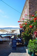 JustGreece.com Molyvos Lesbos | Greece | Greece  32 - Foto van JustGreece.com