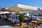 JustGreece.com Molyvos Lesbos | Greece | Greece  41 - Foto van JustGreece.com