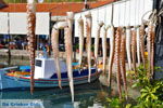JustGreece.com Molyvos Lesbos | Greece | Greece  51 - Foto van JustGreece.com