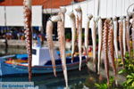 JustGreece.com Molyvos Lesbos | Greece | Greece  52 - Foto van JustGreece.com