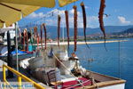 JustGreece.com Molyvos Lesbos | Greece | Greece  57 - Foto van JustGreece.com
